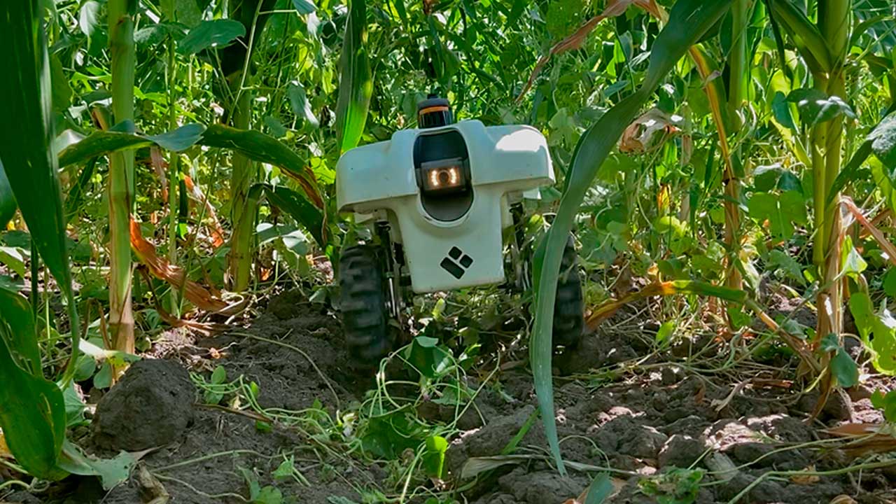 Robot analiza plantas en tiempo real